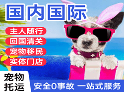 普宁航空货运国际宠物托运 【国